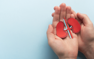 A pair of hands gently holding a paper cutout of kidneys, symbolizing kidney health or kidney-related conditions.