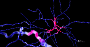 Digital illustration of a dopamine neuron firing in the brain, highlighting neural pathways commonly affected by addiction.