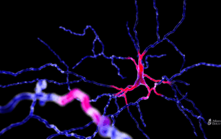Digital illustration of a dopamine neuron firing in the brain, highlighting neural pathways commonly affected by addiction.
